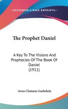 The Prophet Daniel: A Key To The Visions And Prophecies Of The Book Of Daniel (1911)