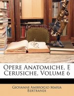 Opere Anatomiche, E Cerusiche, Volume 6