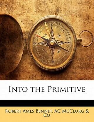 Into the Primitive