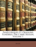 Panégyriques Et Oraisons Fun?bres: Par L'abbé Besson, Volume 1