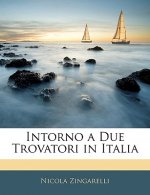 Intorno a Due Trovatori in Italia