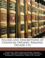 Figures and Descriptions of Canadian Organic Remains: Decade I-IV.
