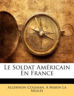 Le Soldat Américain En France