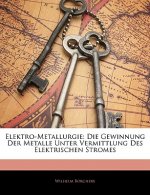 Elektro-Metallurgie: Die Gewinnung Der Metalle Unter Vermittlung Des Elektrischen Stromes