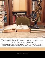 Theorie Der Doppeltperiodischen Functionen Einer Veranderlichen Grosse, Volume 1