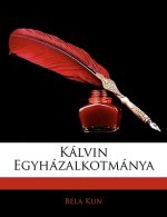 Kalvin Egyhazalkotmanya