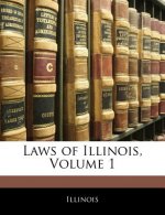 Laws of Illinois, Volume 1
