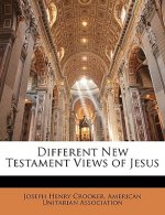 Different New Testament Views of Jesus