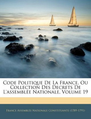 Code Politique de La France, Ou Collection Des Decrets de L'Assemblee Nationale, Volume 19