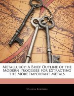 Metallurgy: A Brief Outline of the Modern Processes for Extracting the More Important Metals