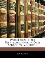 Worterbuch Der Elektrotechnik in Drei Sprachen, Volume 1