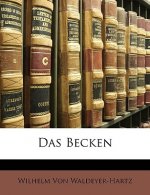 Das Becken
