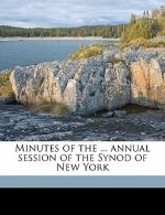 Minutes of the ... Annual Session of the Synod of New York Volume 1908