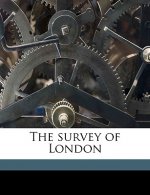 The Survey of London Volume 5