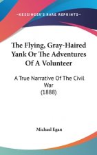 The Flying, Gray-Haired Yank Or The Adventures Of A Volunteer: A True Narrative Of The Civil War (1888)
