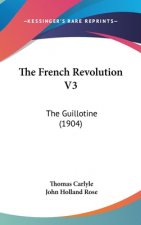 The French Revolution V3: The Guillotine (1904)