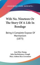 Wife No. Nineteen Or The Story Of A Life In Bondage: Being A Complete Expose Of Mormonism (1875)