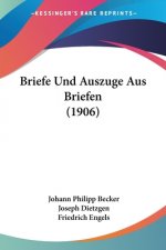 Briefe Und Auszuge Aus Briefen (1906)