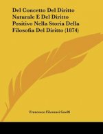 Del Concetto Del Diritto Naturale E Del Diritto Positivo Nella Storia Della Filosofia Del Diritto (1874)
