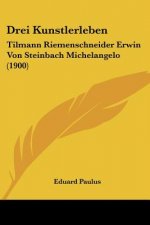 Drei Kunstlerleben: Tilmann Riemenschneider Erwin Von Steinbach Michelangelo (1900)