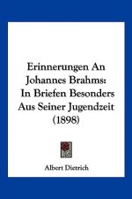 Erinnerungen An Johannes Brahms: In Briefen Besonders Aus Seiner Jugendzeit (1898)