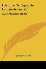 Histoire Critique Du Gnosticisime V2: Avec Planches (1828)