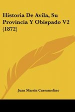 Historia De Avila, Su Provincia Y Obispado V2 (1872)