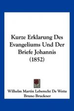 Kurze Erklarung Des Evangeliums Und Der Briefe Johannis (1852)
