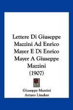 Lettere Di Giuseppe Mazzini Ad Enrico Mayer E Di Enrico Mayer A Giuseppe Mazzini (1907)