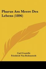 Pharus Am Meere Des Lebens (1896)