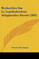 Recherches Sur Le Lepidodendron Selaginoides Sternb (1892)