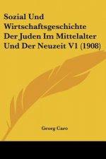 Sozial Und Wirtschaftsgeschichte Der Juden Im Mittelalter Und Der Neuzeit V1 (1908)