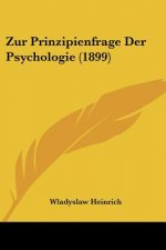 Zur Prinzipienfrage Der Psychologie (1899)