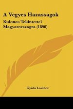 A Vegyes Hazassagok: Kulonos Tekintettel Magyarorszagra (1890)