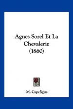Agnes Sorel Et La Chevalerie (1860)