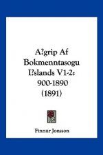 A grip Af Bokmenntasogu Islands V1-2: 900-1890 (1891)