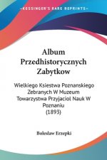 Album Przedhistorycznych Zabytkow: Wielkiego Ksiestwa Poznanskiego Zebranych W Muzeum Towarzystwa Przyjaciol Nauk W Poznaniu (1893)