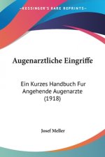 Augenarztliche Eingriffe: Ein Kurzes Handbuch Fur Angehende Augenarzte (1918)
