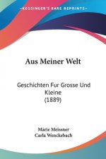 Aus Meiner Welt: Geschichten Fur Grosse Und Kleine (1889)