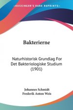 Bakterierne: Naturhistorisk Grundlag For Det Bakteriologiske Studium (1901)