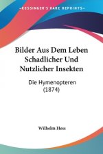 Bilder Aus Dem Leben Schadlicher Und Nutzlicher Insekten: Die Hymenopteren (1874)