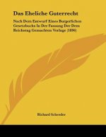 Das Eheliche Guterrecht: Nach Dem Entwurf Eines Burgerlichen Gesetzbuchs In Der Fassung Der Dem Reichstag Gemachten Vorlage (1896)