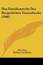 Das Familienrecht Des Burgerlichen Gesetzbuchs (1906)