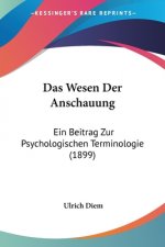 Das Wesen Der Anschauung: Ein Beitrag Zur Psychologischen Terminologie (1899)