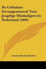 De Cellulaire Gevangenisstraf Voor Jeugdige Misdadigers In Nederland (1894)