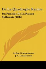 De La Quadruple Racine: Du Principe De La Raison Suffisante (1882)