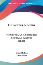 De Sadowa A Sedan: Memoires D'Un Ambassadeur Secret Aux Tuileries (1885)