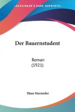 Der Bauernstudent: Roman (1921)