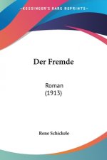 Der Fremde: Roman (1913)