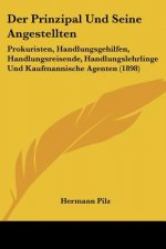 Der Prinzipal Und Seine Angestellten: Prokuristen, Handlungsgehilfen, Handlungsreisende, Handlungslehrlinge Und Kaufmannische Agenten (1898)